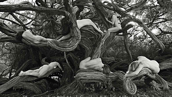 A Remarkable Photo Book 12 Years in the Making