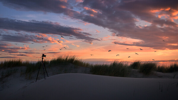 Finding the True Reason Why You are a Photographer