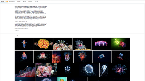 Flickr Introduces New Showcase Feature, but Does It Still Matter?