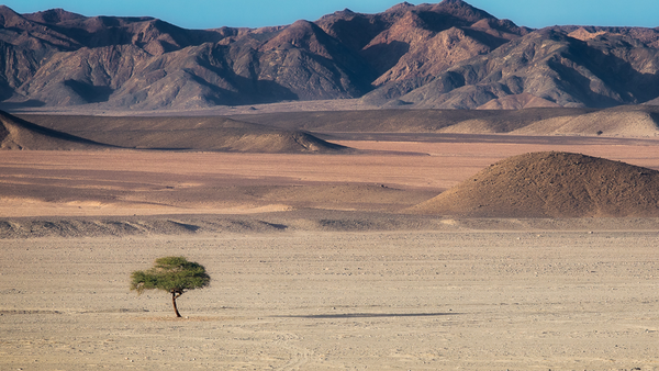Mix it Up With These 30 Composition Styles for Photography