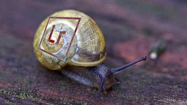 Adobe Is Finally Ready to Listen to Your Lightroom Performance Woes