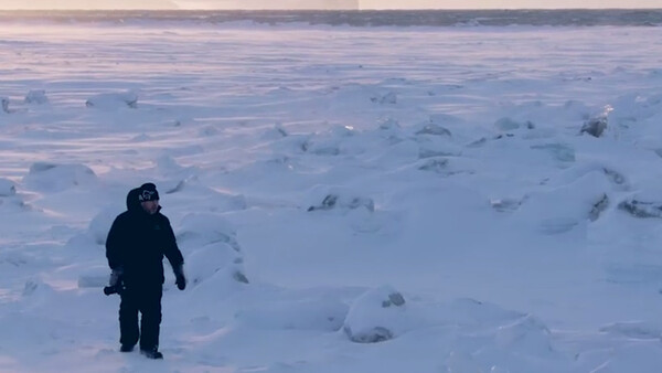 Breathtaking Hunt for the Perfect Polar Bear Photography in Arctic
