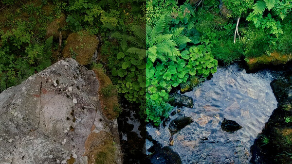 Four Tips to Make Your DJI Spark Footage Look Professional