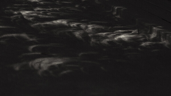 Why I Photographed the Ground During the Solar Eclipse