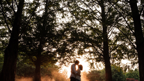 Five Types of Ambient Light You Should Know How to Use in Photography
