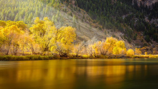 Make the Most of Autumn Colors This Fall