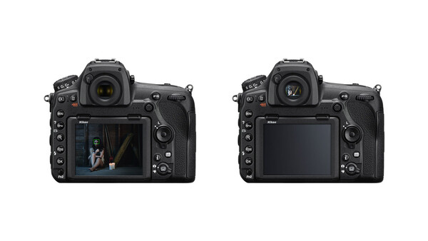 The Difference Between a DSLR's Viewfinder Autofocus and Live View Autofocus