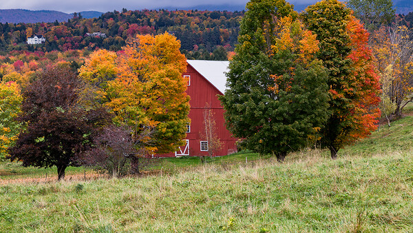 Three Tips for Photographing Fall Colors