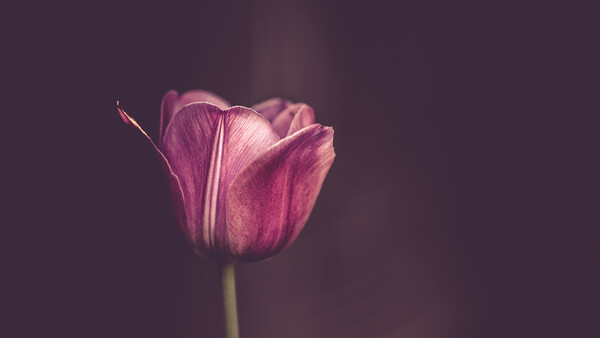 Top 10 WeeklyFstops: Simplicity