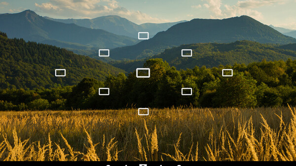 Understanding Your Camera's Internal Light Meter and Metering Modes