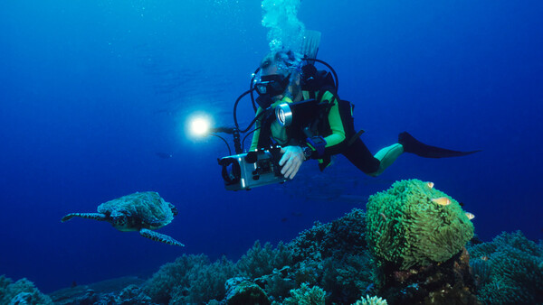 BBC’s 'Blue Planet' Is Back and It’s Better Than Ever