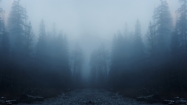 Never Stop Chasing the White Whale in Your Photography