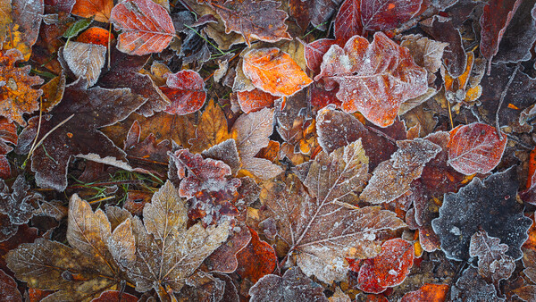 Fine Art Landscape Photography (Part 2): Demons of a Diverse Portfolio