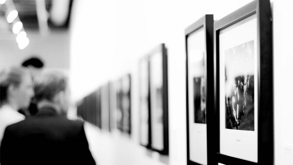 Artist Steals Entire Set of Images for Use Within a $15,000 Commissioned Installation