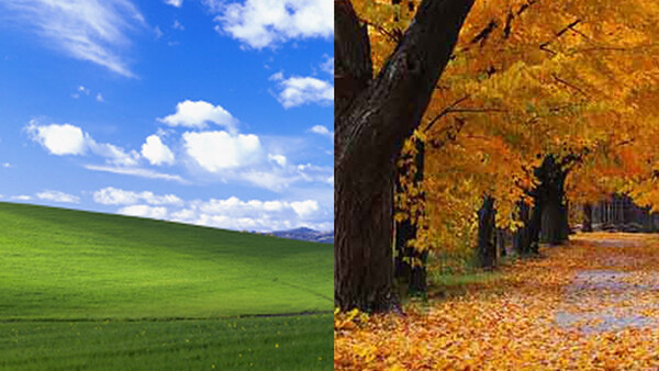 $100,000 Vs. $45: The Differences Paid to the Photographers Behind These Microsoft Windows Images