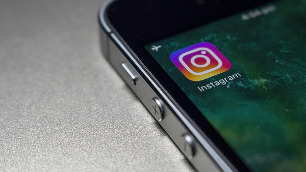 Instagram Fights Illegal Wildlife Exploitation by Warning Users in App