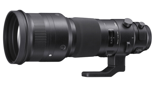 Sigma 500mm Sport Lens Real-World Experience