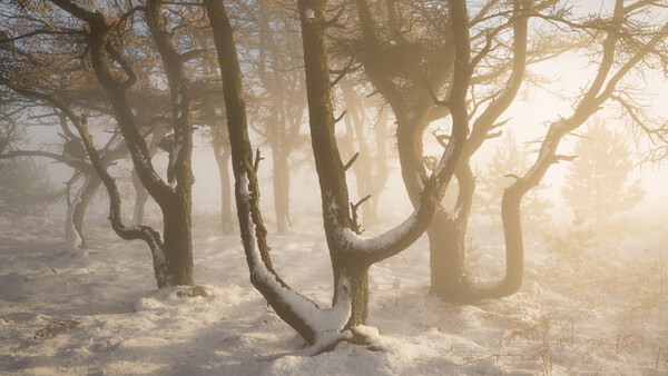 Fine Art Landscape Photography (Part 3): The Introvert Mind Featuring Simon Baxter