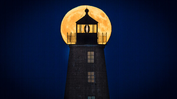 Make the Photo You Dream of With Preparation and Patience