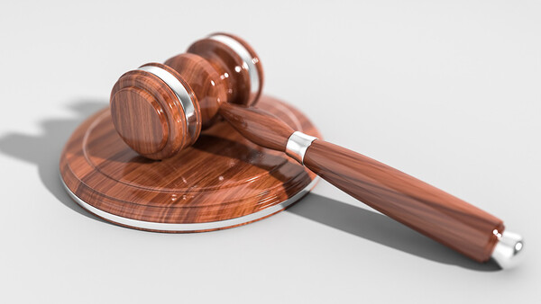 Photographer Attempting Unusual Legal Strategy in Lawsuit Over Stolen Images, Could Set Precedent