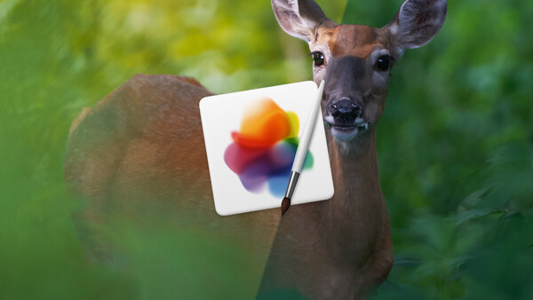 Fstoppers Reviews Pixelmator Pro: Not the Photoshop Alternative You're Looking For
