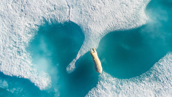 DJI Announces 2017’s Top Aerial Photos