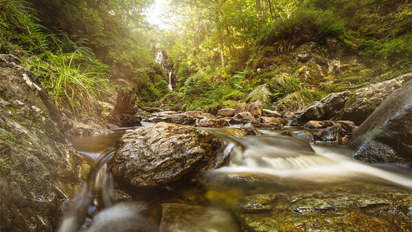 How to Shoot Long Exposures in a Stream with No Tripod