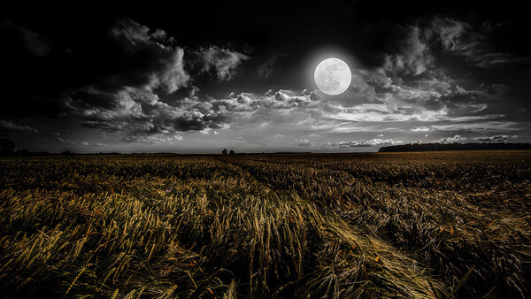 Even Peter Lik Says His Art Is Not Worth the Money