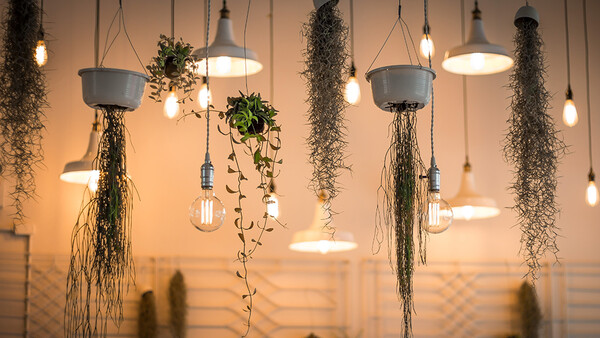 What Interior Designers Could Learn From Photographers