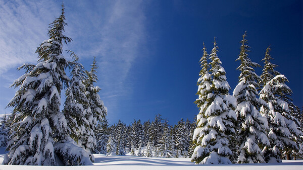Tips and Tricks for Cold Weather Photography