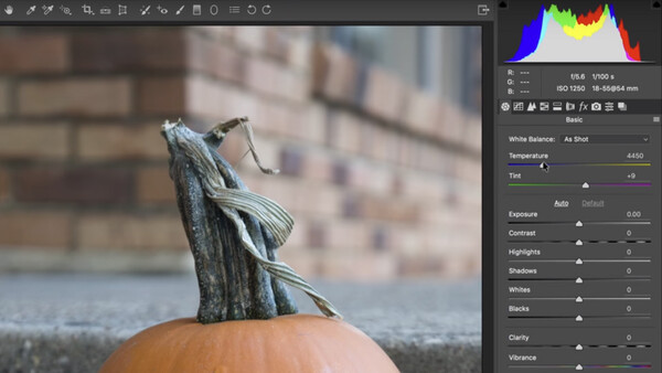 Capture One Vs. Lightroom: Ted Forbes Talks Raw