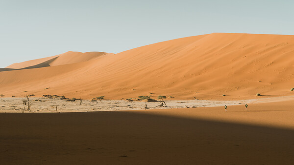 Fstoppers Interviews the Photographer Who Recorded an Amazing and Grueling Desert Expedition
