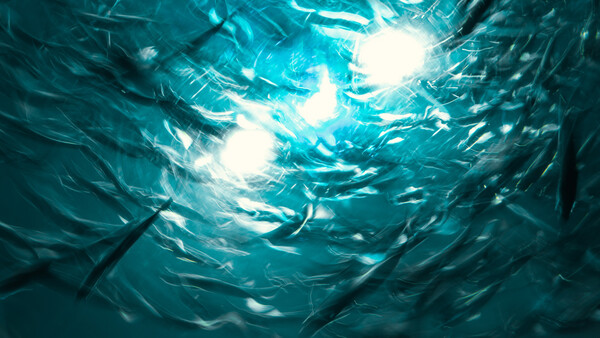 Top 10 WeeklyFstop Photos: Long Exposure