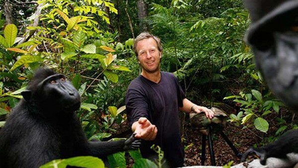 Monkey Lawsuit Still Ongoing as Court Dismisses Agreement Between Photographer and PETA