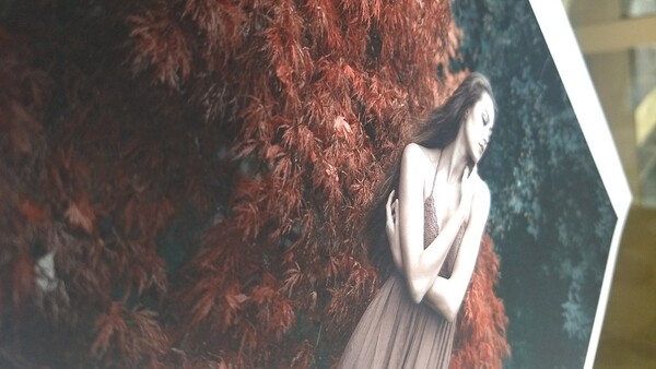 Print Your Photography: Part One