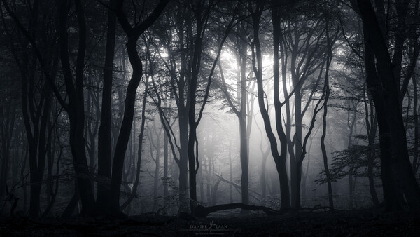 Social Deconstruction: Why Photography Should Always Be for You