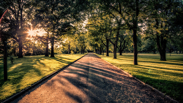 Top 10 WeeklyFstop Photos: Shadows