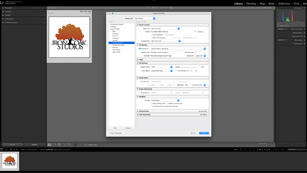 Speed Up Image Exporting With User Presets in Lightroom Classic