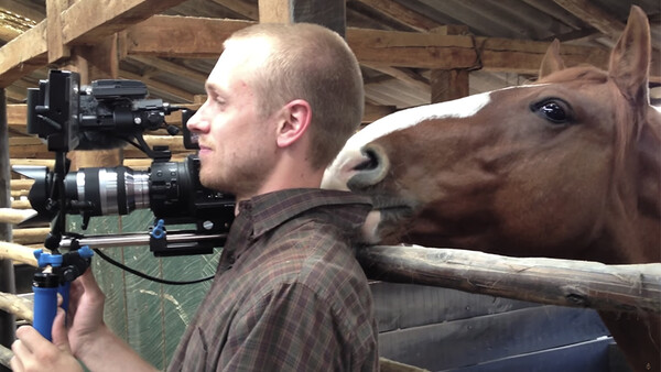 This Cameraman Does a Great Job of Keeping It Together Despite Way Too Much Horsing Around