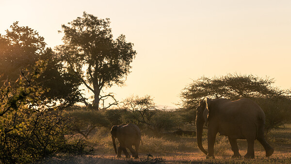 Planning for a Wildlife Photography Trip as a Landscape Photographer