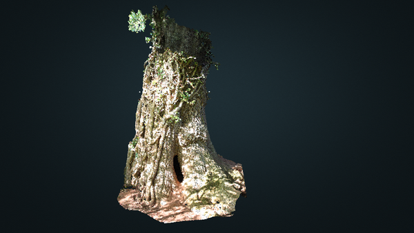 How to Create a Web-Based 3D Interactive Model