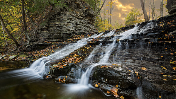 Is It Worth Becoming a Professional Photographer? 