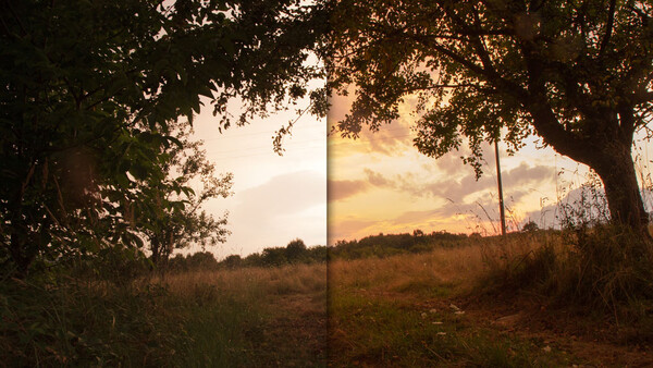 Why Hardcore Purists Can't Make a Quality Photograph of a High Contrast Scene
