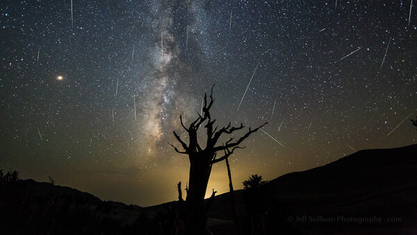 A Baker's Dozen of Impressive Perseid Meteor Shower Captures