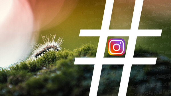 The Best Hashtags to Get Your Photos Seen on Instagram in 2018