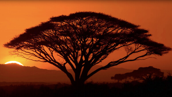 Ten Tips for Capturing Stunning Sunset Photos