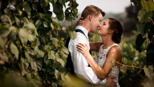 What’s Behind the Recent Lull in Photography Bookings?