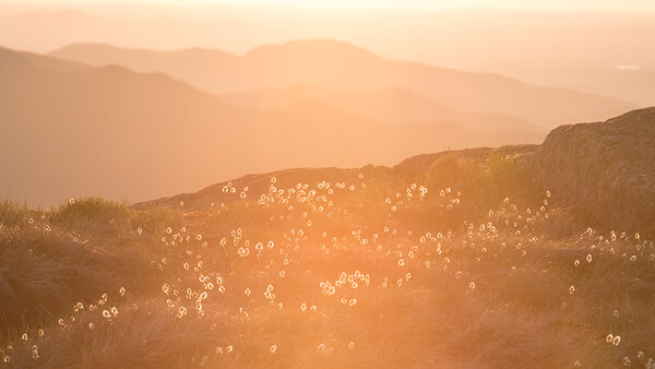 Please Stop Tagging the Locations of Your Outdoor Photographs