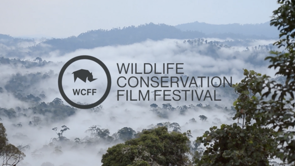 The Wildlife Conservation Film Festival Kicks off This Week in NYC