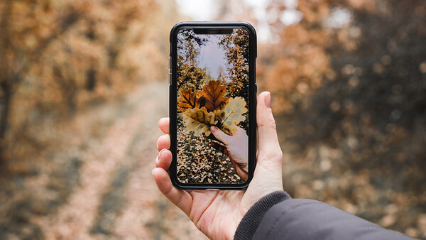 BeautyGate Debunked: An Inside Look at the iPhone's New Camera